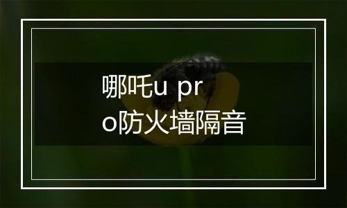 哪吒u pro防火墙隔音