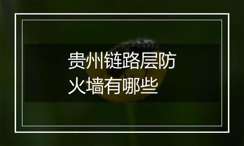 贵州链路层防火墙有哪些
