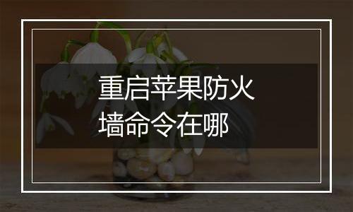 重启苹果防火墙命令在哪