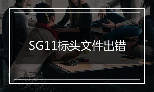 SG11标头文件出错