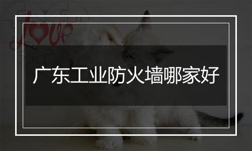广东工业防火墙哪家好