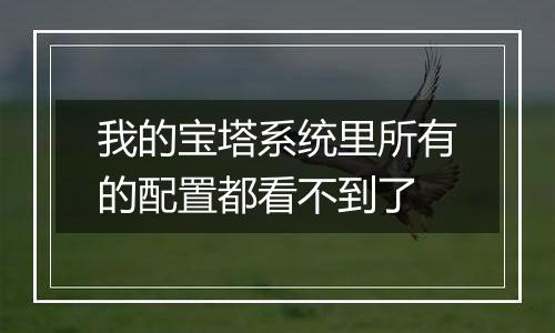 我的宝塔系统里所有的配置都看不到了