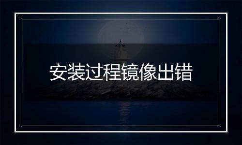 安装过程镜像出错