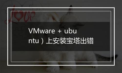 VMware + ubuntu)上安装宝塔出错