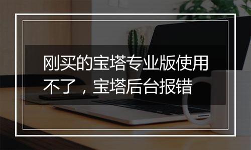 刚买的宝塔专业版使用不了,宝塔后台报错