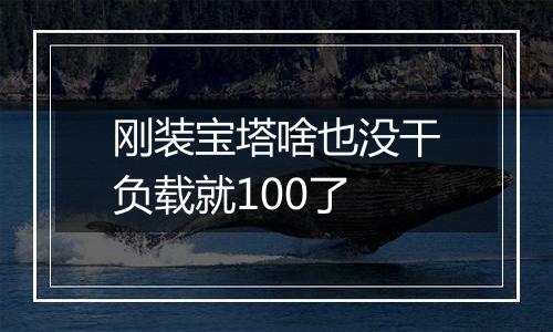 刚装宝塔啥也没干负载就100了