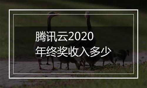 腾讯云2020年终奖收入多少