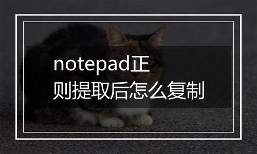notepad正则提取后怎么复制