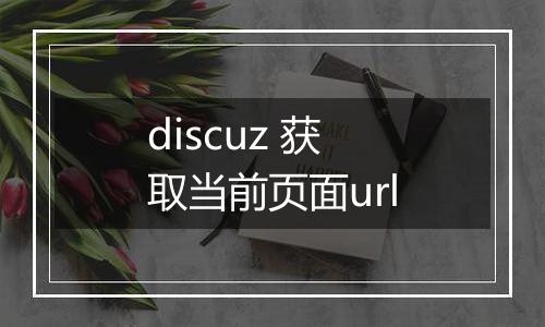 discuz 获取当前页面url