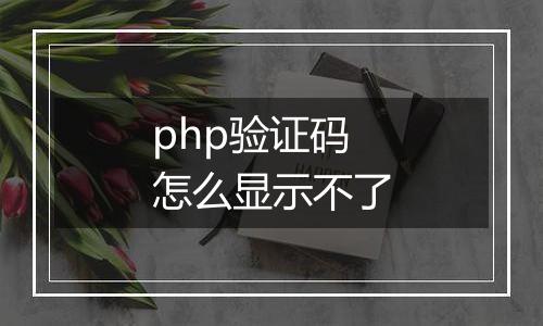 php验证码怎么显示不了