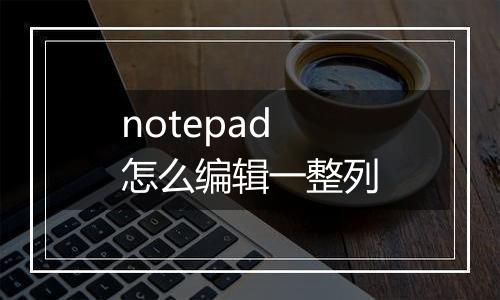 notepad怎么编辑一整列
