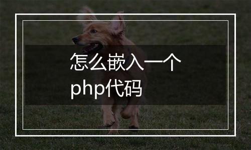 怎么嵌入一个php代码