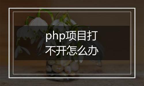 php项目打不开怎么办