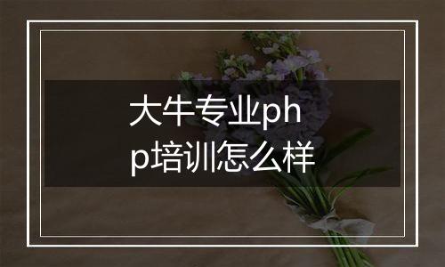 大牛专业php培训怎么样