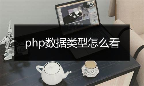 php数据类型怎么看