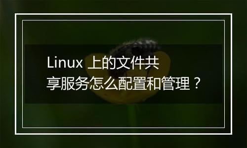Linux 上的文件共享服务怎么配置和管理?