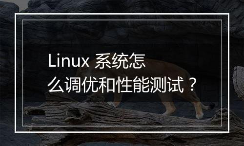 Linux 系统怎么调优和性能测试?