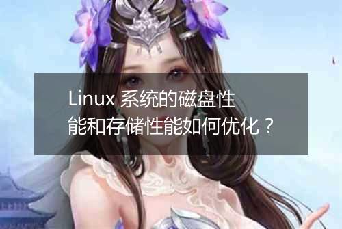 Linux 系统的磁盘性能和存储性能如何优化?