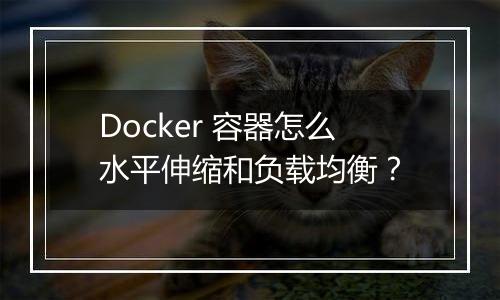 Docker 容器怎么水平伸缩和负载均衡?