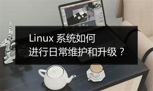 Linux 系统如何进行日常维护和升级?