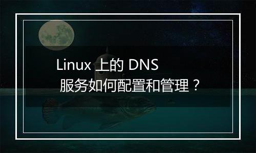 Linux 上的 DNS 服务如何配置和管理?