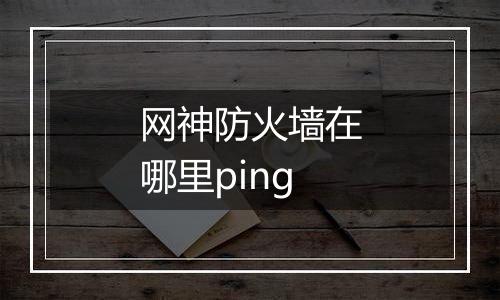 网神防火墙在哪里ping