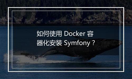 如何使用 Docker 容器化安装 Symfony?