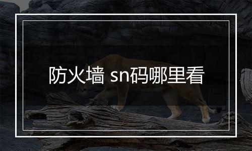 防火墙 sn码哪里看