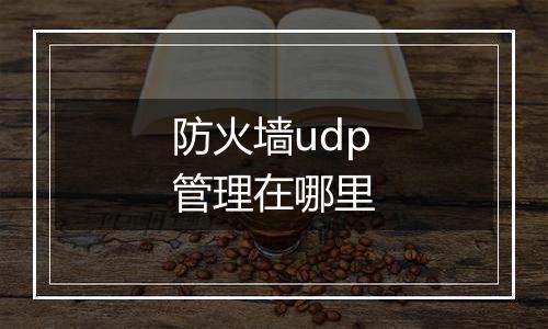 防火墙udp管理在哪里