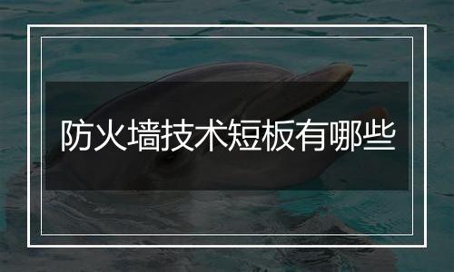 防火墙技术短板有哪些