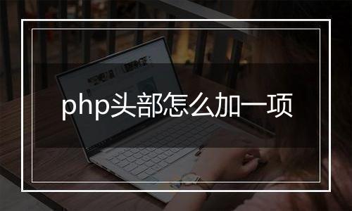 php头部怎么加一项