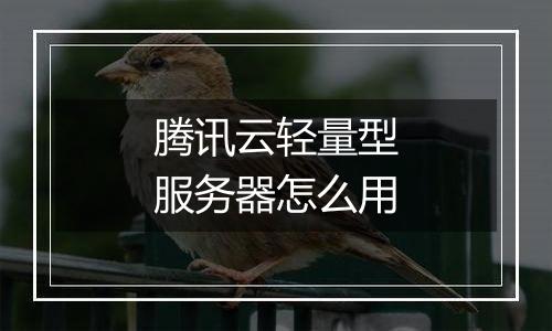 腾讯云轻量型服务器怎么用