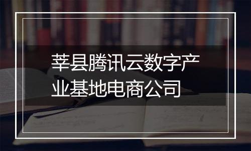 莘县腾讯云数字产业基地电商公司