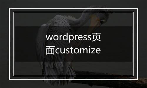 wordpress页面customize