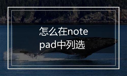 怎么在notepad中列选