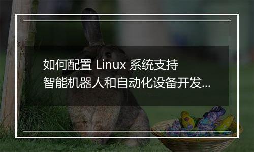 如何配置 Linux 系统支持智能机器人和自动化设备开发?