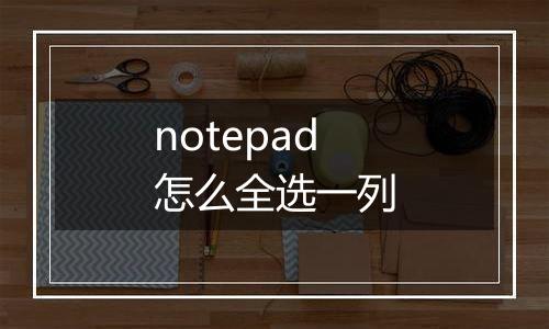 notepad怎么全选一列