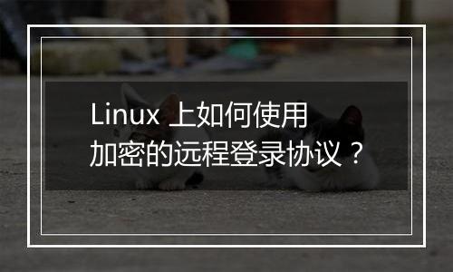 Linux 上如何使用加密的远程登录协议?