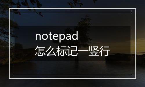 notepad怎么标记一竖行
