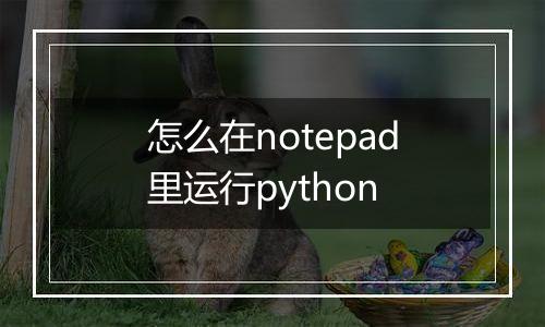 怎么在notepad里运行python