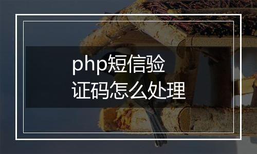 php短信验证码怎么处理