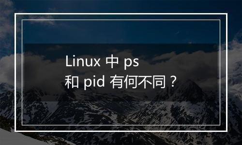 Linux 中 ps 和 pid 有何不同?