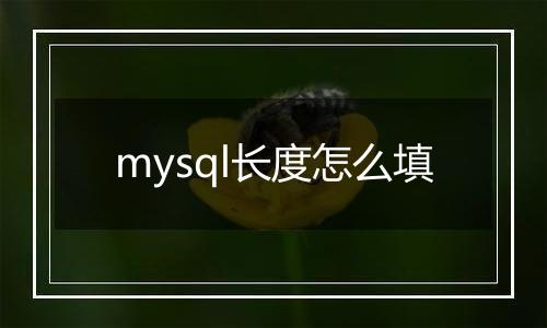 mysql长度怎么填