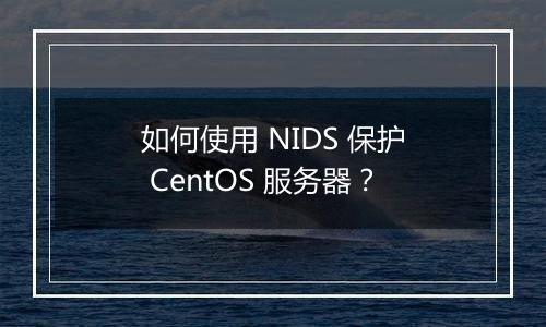 如何使用 NIDS 保护 CentOS 服务器?