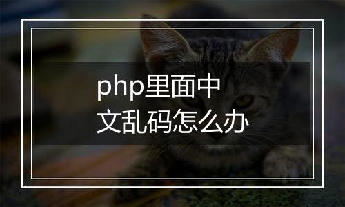php里面中文乱码怎么办