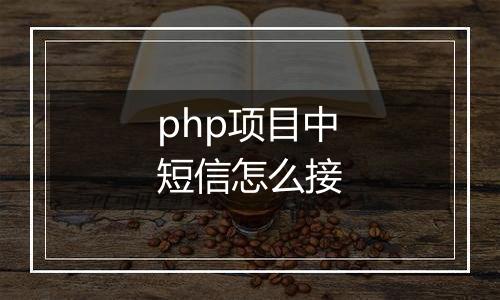 php项目中短信怎么接