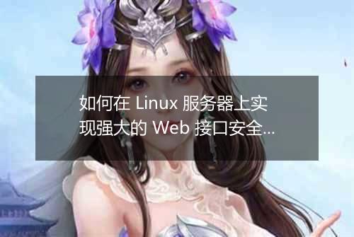 如何在 Linux 服务器上实现强大的 Web 接口安全性防护?
