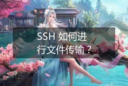 SSH 如何进行文件传输?