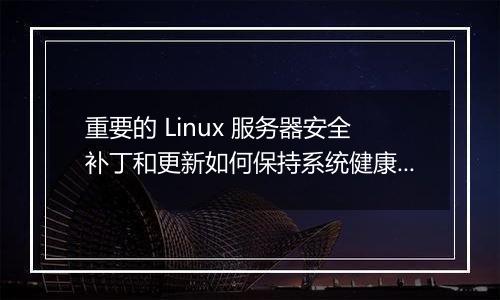 重要的 Linux 服务器安全补丁和更新如何保持系统健康?