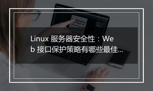 Linux 服务器安全性:Web 接口保护策略有哪些最佳实践?